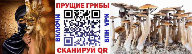 купить наркотики сайты  Ясный  Галлюциногенные грибы мухоморы 